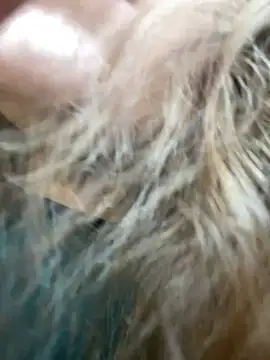 kate_nicepops333221 webcam