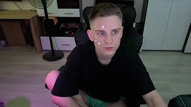 pvlpstvy webcam