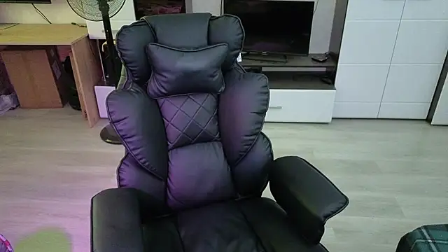 pvlpstvy webcam
