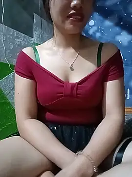 Havana- webcam