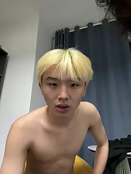 Cnmp6666 webcam
