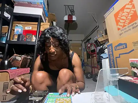wynterheat webcam
