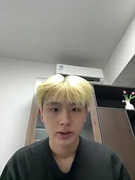 Cnmp6666 webcam