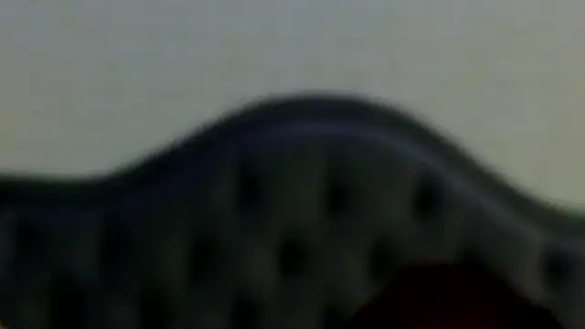 Helena_Sinclair webcam