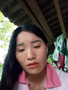 Td3di webcam