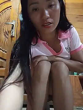 Td3di webcam