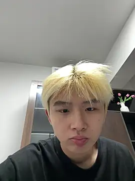 Cnmp6666 webcam
