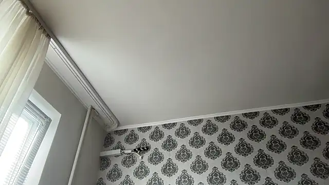 tomasdickpick Live Web Cam Show