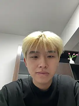 Cnmp6666 webcam