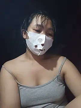 Hiha-nn webcam