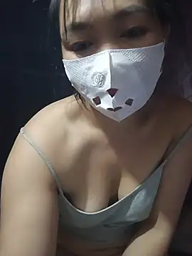 Hiha-nn webcam