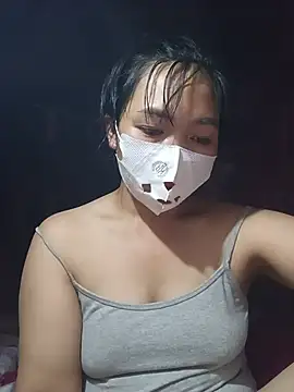 Hiha-nn webcam
