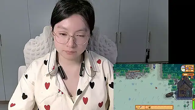 Erya-369 webcam