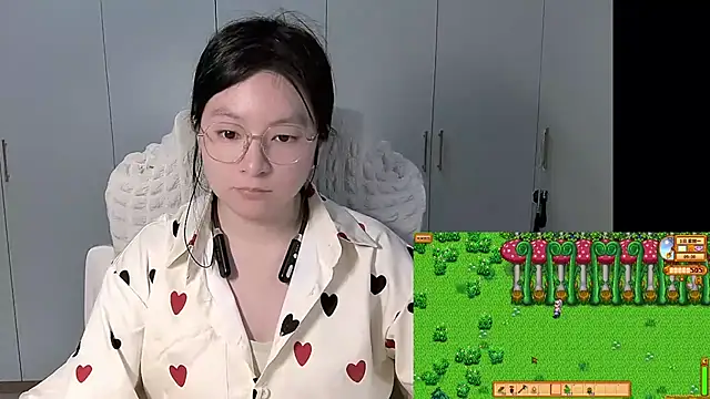 Erya-369 webcam