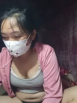 Hiha-nn webcam