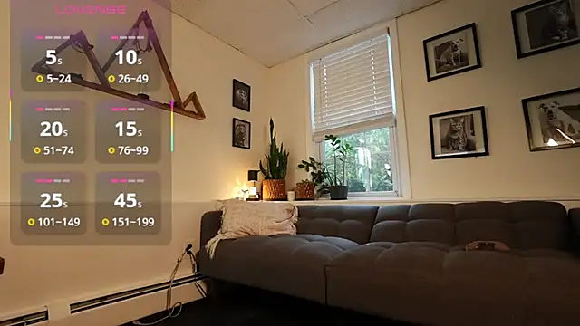 BradBronton webcam