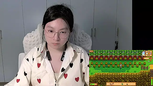 Erya-369 webcam