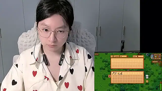 Erya-369 webcam