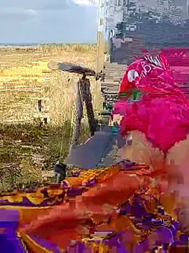 kellyterapy webcam