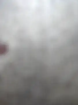 Sacha_Scorp webcam