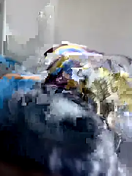 manuel1976 webcam