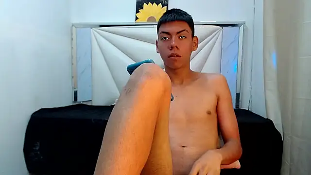 Liarr_ webcam