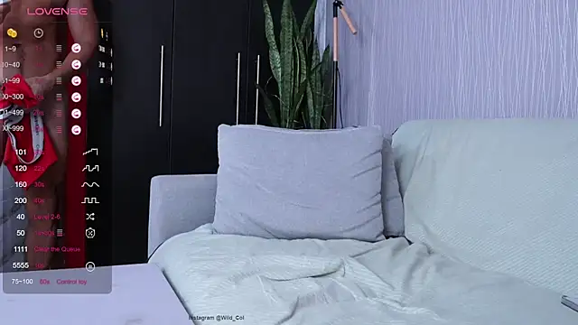 wild_col_