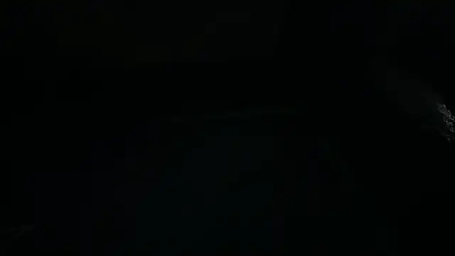 icebergslim281 webcam