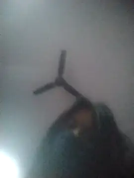 Shaniya03 webcam