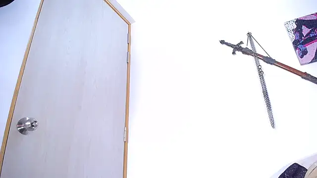 damn_fox webcam