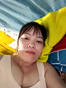 Sana-vn webcam
