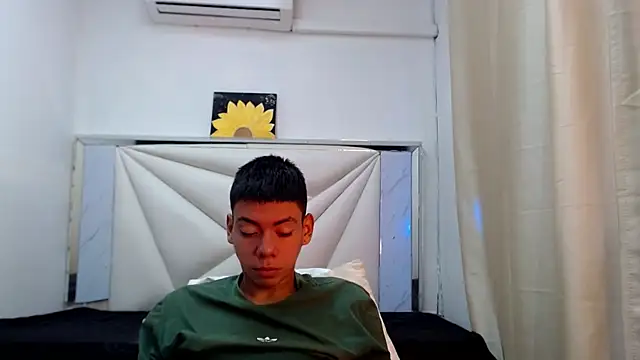 Liarr_ webcam