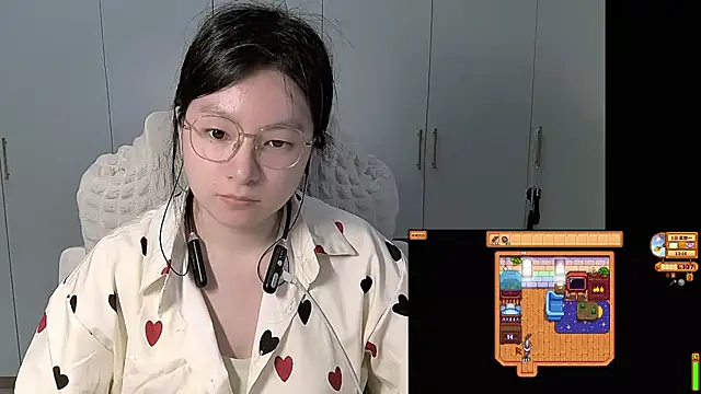 Erya-369 webcam