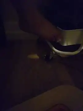 mdma9119 webcam