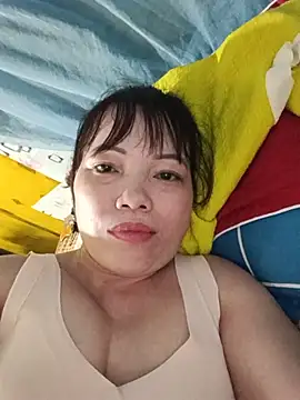 Sana-vn webcam