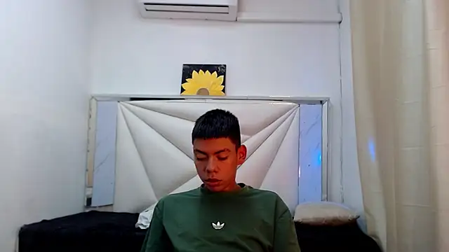 Liarr_ webcam