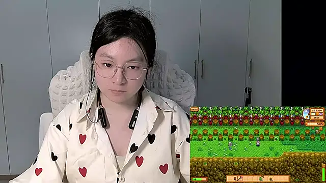 Erya-369 webcam