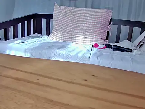 NIRVANA webcam