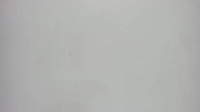 Norki_ webcam