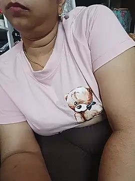 Hansikatelugu webcam