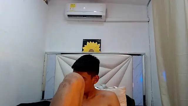 Liarr_ webcam
