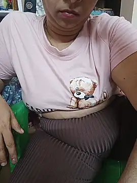 Hansikatelugu webcam