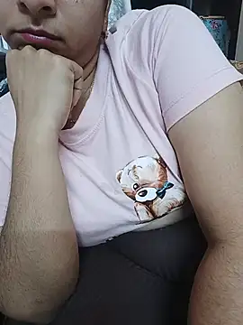 Hansikatelugu webcam