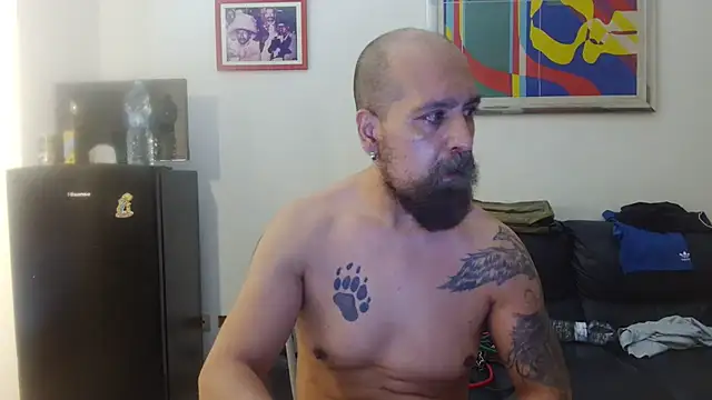 AMIRDIB2025 webcam