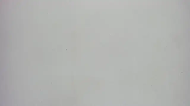 Norki_ webcam