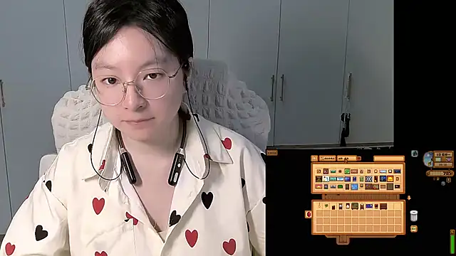 Erya-369 webcam