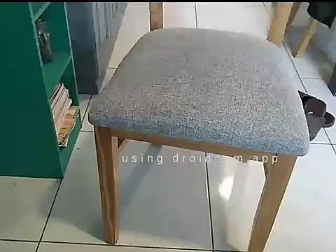 alefer032 webcam