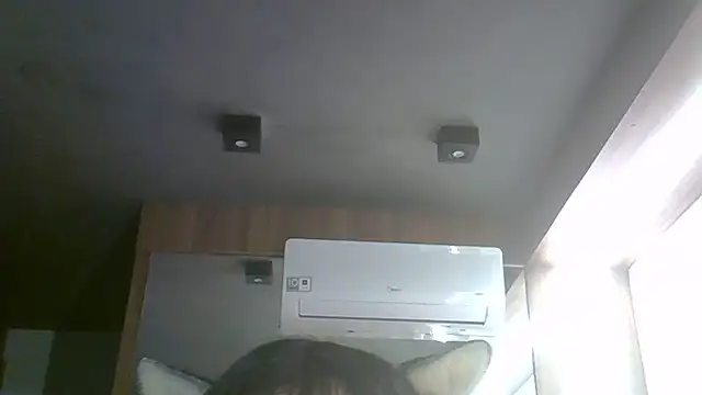SkinnyKitten webcam