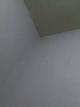 cobrosdepagos webcam