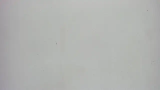Norki_ webcam